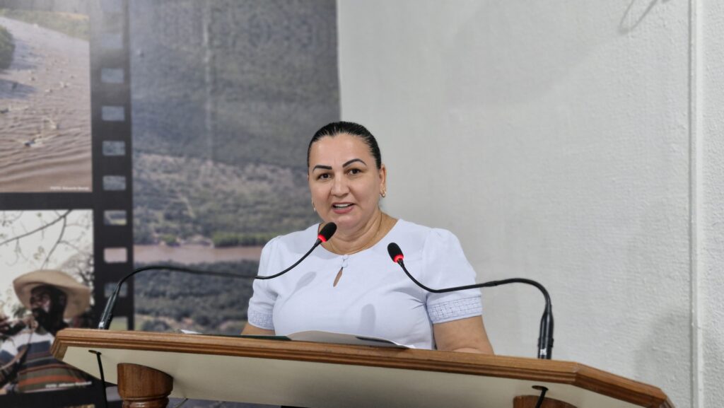 Vereadora Lourdes da silva