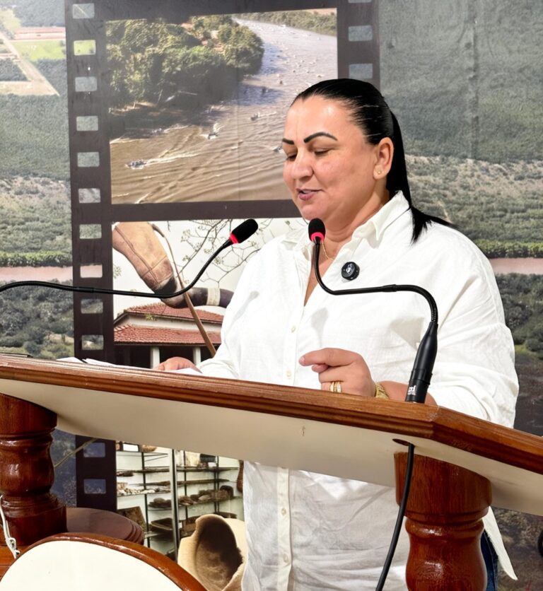 Agosto Lilás: Lourdes reforça na Câmara a luta contra a violência às mulheres