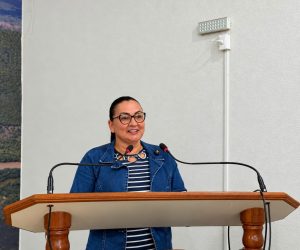 vereadora Lourdes assistente social