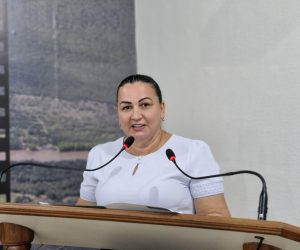 Voto consciente: por que disse NÃO ao empréstimo de R$ 20 milhões.